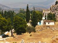 Ancient Asini