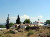 Ancient Asini