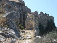 Ancient Asini