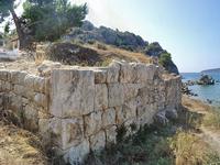 Ancient Asini