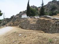 Ancient Asini