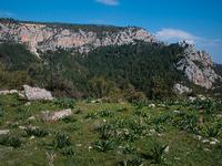 Candia countryside